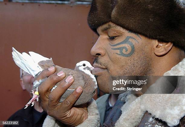 Former world heavyweight boxing champion Mike Tyson meets up with a pigeon fancier Horace Potts , of Bloxwich, Walsall, West Midlands on November 18,...