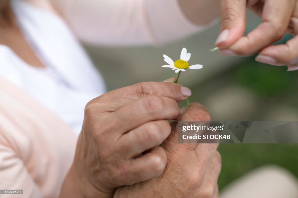 Mature couple plucking petals off a flower