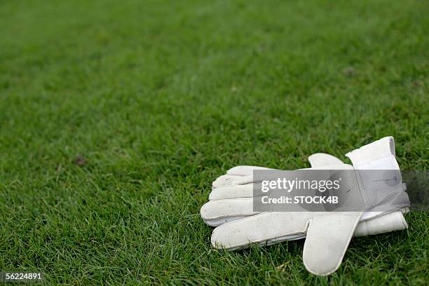gloves of a goalkeeper lying on grass - luva de guarda redes imagens e fotografias de stock