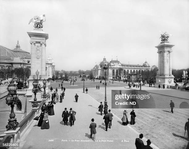 Paris . The bridge Alexandre-III and the Petit-Palais.