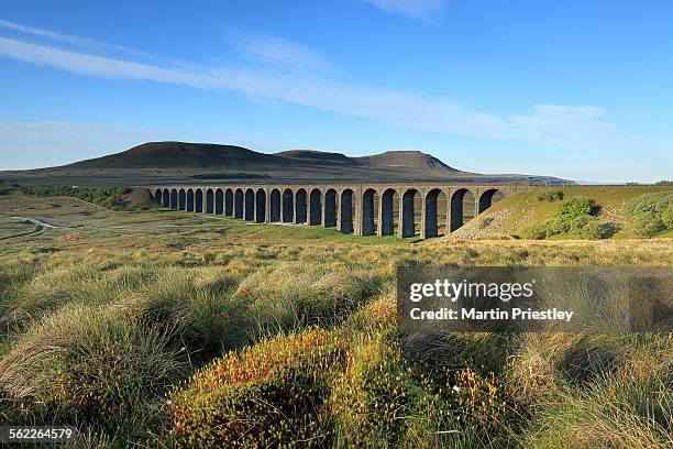 ribblehead viaduct, yorkshire dales - ribblehead viaduct stock pictures, royalty-free photos & images