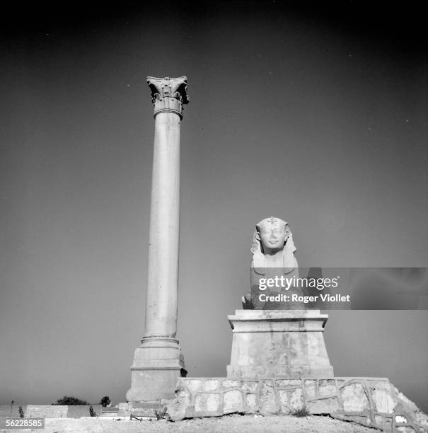 Alexandria . The column known as "Pompey" and one of two sphinx dating back to Diocletian and belonging to the Serapeum. On December, 1965.