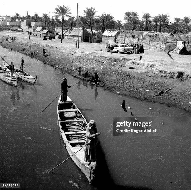 Bassora . The Chatt al-Arab. 1964.