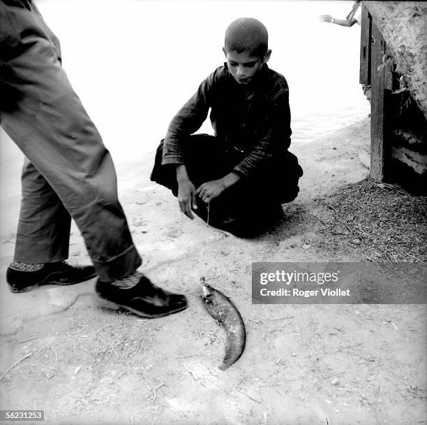 Young fisherman. Bassora , 1964.