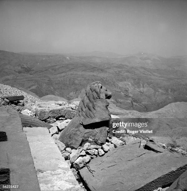 Nemrut Dagi . Lion of basalt keeping the west terrace of the sanctuary of Antiochos Ist , king of Commagene. About 1970. RV-873947.