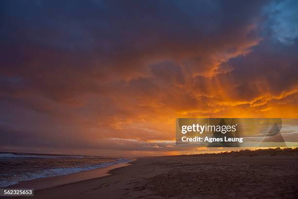sunset at a beach in lakes entrance, australia - lakes entrance stock pictures, royalty-free photos & images
