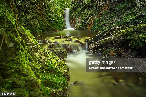 exotique - cascade france stock pictures, royalty-free photos & images