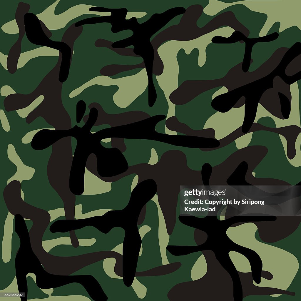 Thai Army camouflage pattern background