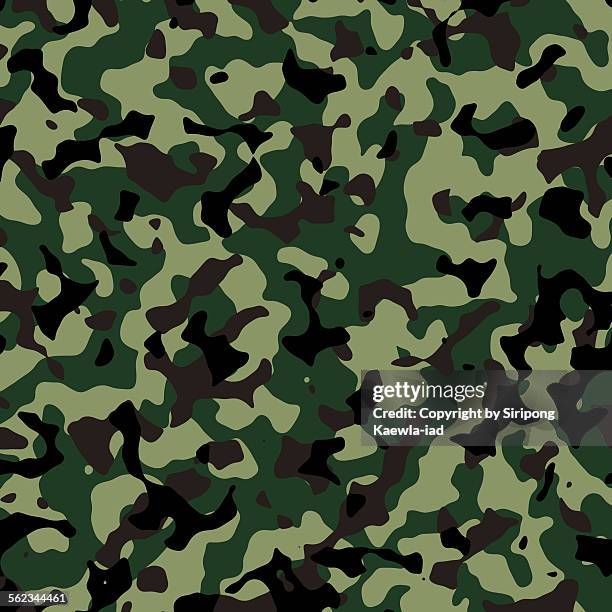 bildbanksillustrationer, clip art samt tecknat material och ikoner med thai army illustrated camouflage pattern backgroun - thailändskt ursprung