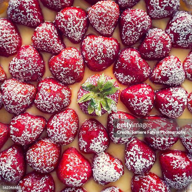 fresh strawberry tart - tarte à la crème pâtissière photos et images de collection