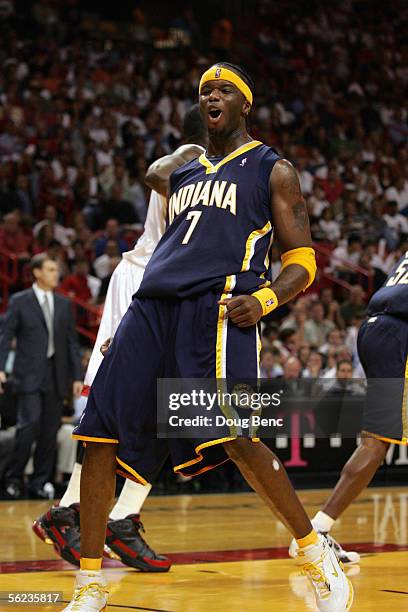 Jermaine O'Neal of the Indiana Pacers celebrates after a play during a game against the Miami Heat at American Airlines Arena November 3, 2005 in...