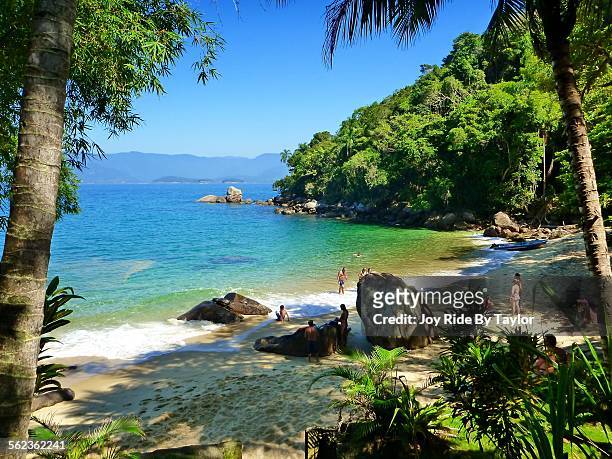 couve's island - parati stock pictures, royalty-free photos & images