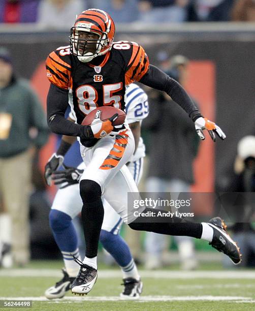 Chad Johnson of the Cincinnati Bengals catches a pass during the NFL game against the Indianapolis Colts at Paul Brown Stadium on November 20, 2005...