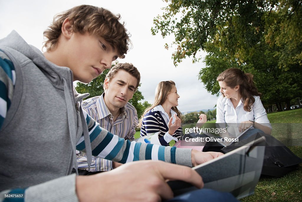 Students having study group on grass