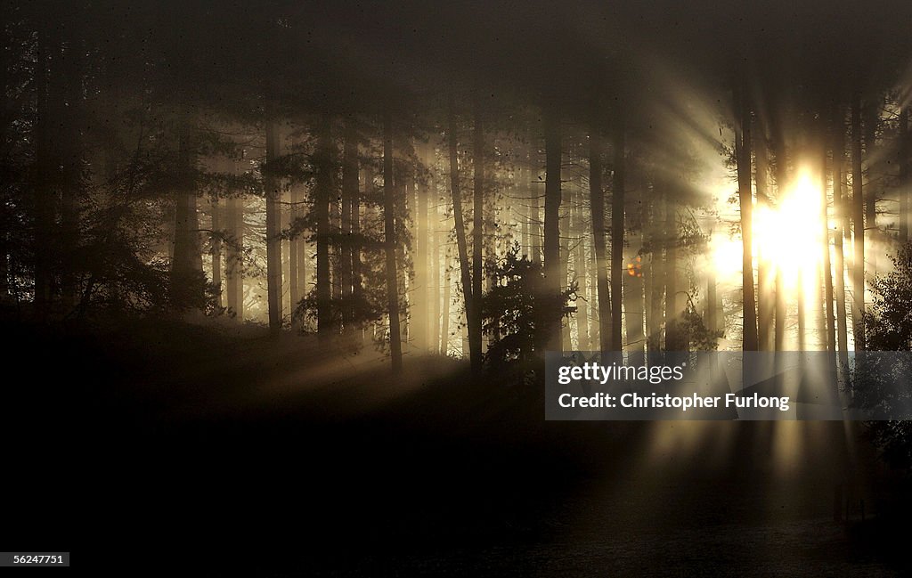 Fog Shrouds Rural England As Cold Snap Continues