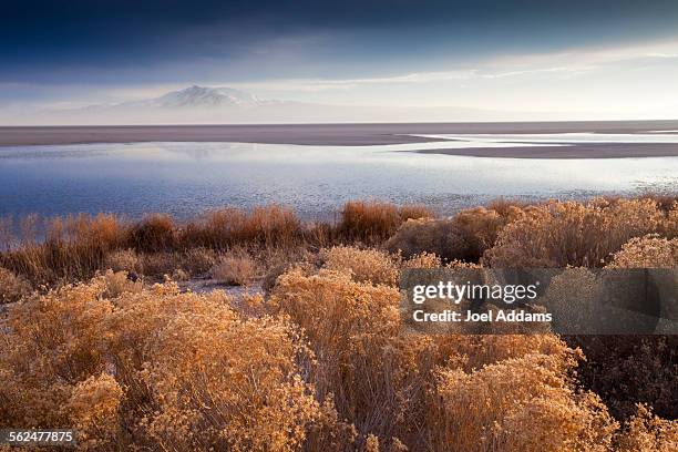 antelope island state park at sunset, utah - great salt lake stock pictures, royalty-free photos & images