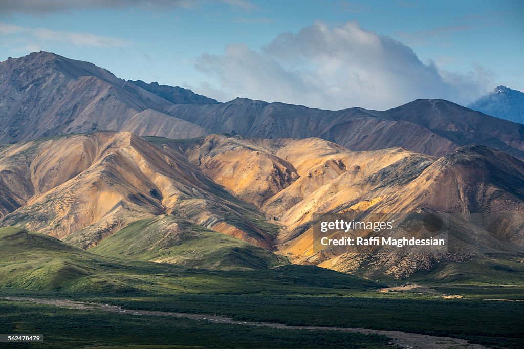 View of the famous polychrom pass in Denali National Park