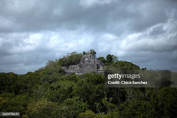 the temple i of the mayan city of calakmul peaks over the jungle in the calakmul biosphere reserve, campeche state, yucatan peninsula, mexico - yucatan peninsula - fotografias e filmes do acervo