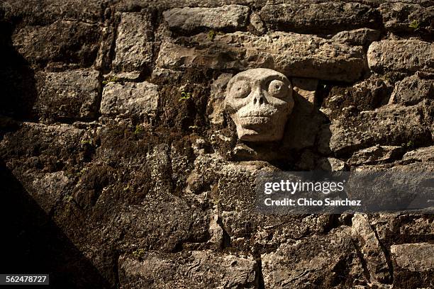 a skull sculpture decorates the mayan city of coba, yucatan peninsula, mexico - coba stock pictures, royalty-free photos & images