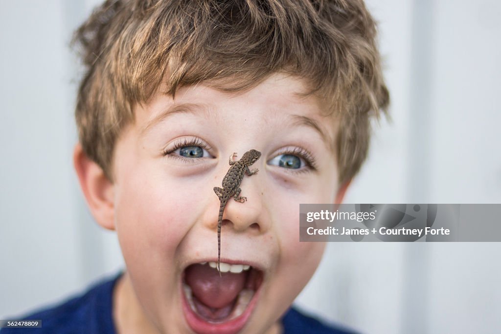 Astonished toddler boy with Sagebrush lizard on nose in Chico, California.