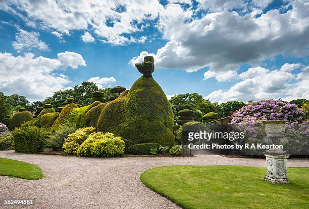 topiary at tatton park, cheshire - sentiero di giardino foto e immagini stock