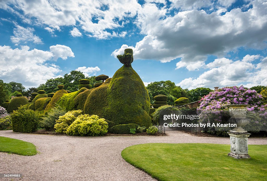 Topiary at Tatton Park, Cheshire