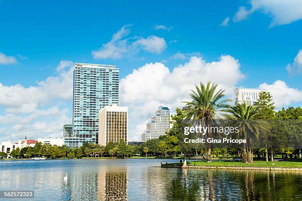 lake eola view in orlando florida - orlando florida stock-fotos und bilder