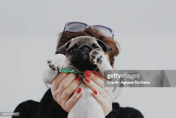 young face hidden - hide face stock pictures, royalty-free photos & images