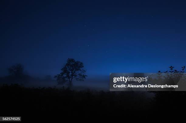 foggy field at night - ottawa night stock pictures, royalty-free photos & images