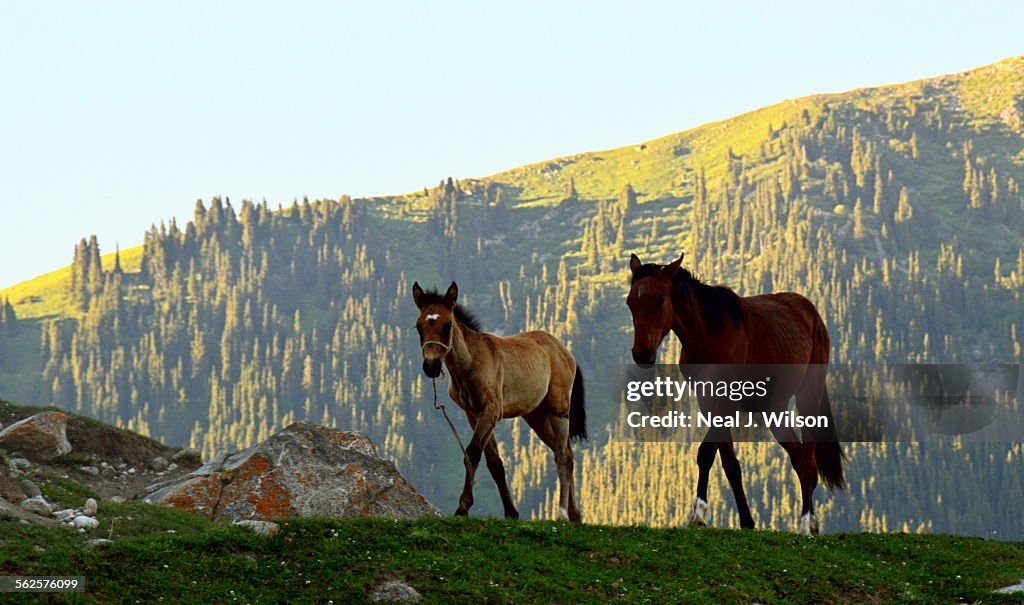 Kyrgyzstan