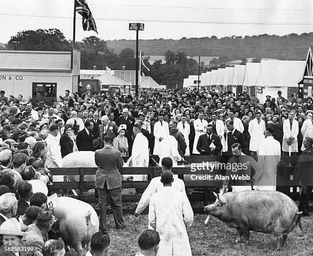 Princess Elizabeth and Prince Philip, the Duke of Edinburgh, touring through the grounds of the Royal Show surrounded by visitors, farmers and pigs,...
