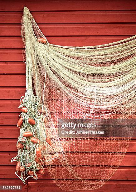 fishing net hanging on wall - kommersiellt fisknät bildbanksfoton och bilder
