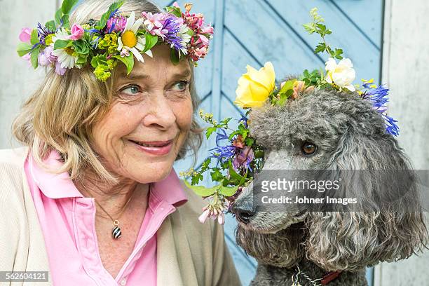 senior woman with poodle wearing flower wreath - summer solstice photos et images de collection