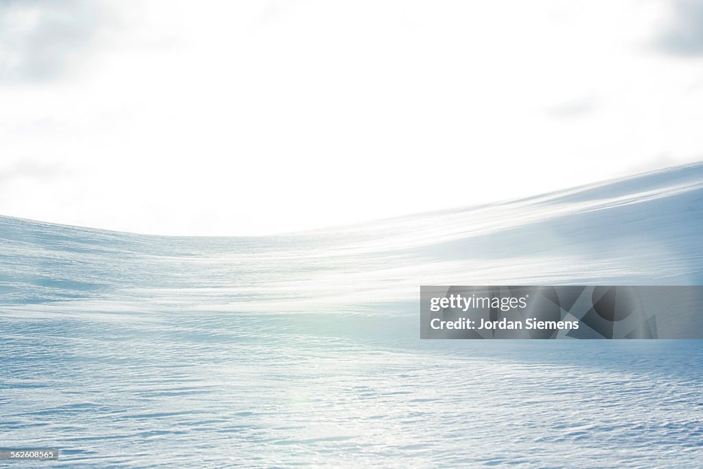 Snowy landscape