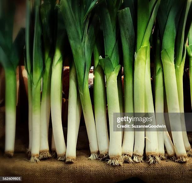 row of fresh organic green leeks in a farm market stall - lauch stock-fotos und bilder
