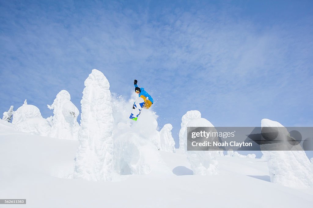 USA, Montana, Whitefish, Snowboarder jumping over snowy tree