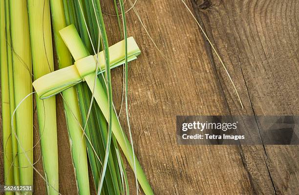 palm leaves for palm sunday - palmsonntag stock-fotos und bilder