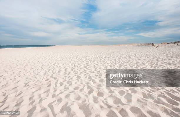 usa, massachusetts, chatham, lighthouse beach, footprints on beach - sand ストックフォトと画像