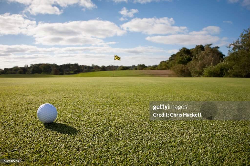 USA, Massachusetts, Golf ball on grass in golf course