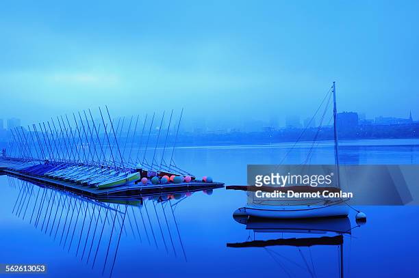 usa, massachusetts, boston, row of boats foggy morning on charles river - boston fern stock-fotos und bilder