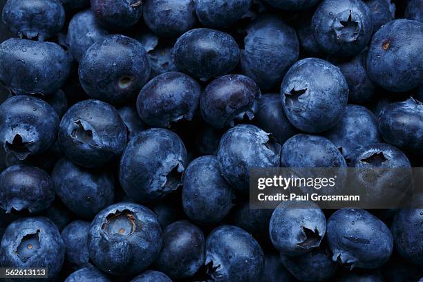 fresh blueberries - amerikanische heidelbeere stock-fotos und bilder