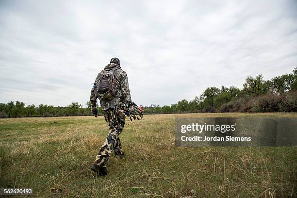 a man turkey hunting. - bow and arrow stock pictures, royalty-free photos & images