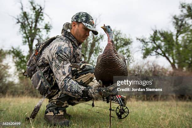 a man turkey hunting. - turkey hunting 個照片及圖片檔