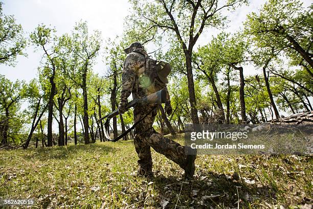 a man turkey hunting. - turkey hunting stock pictures, royalty-free photos & images