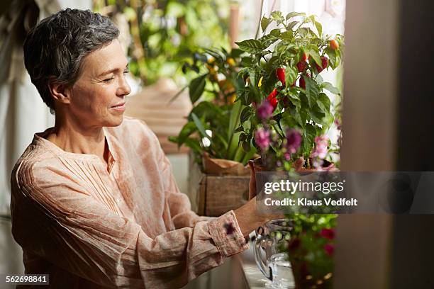 mature woman nurturing plants in living room - domestic life plants stock pictures, royalty-free photos & images