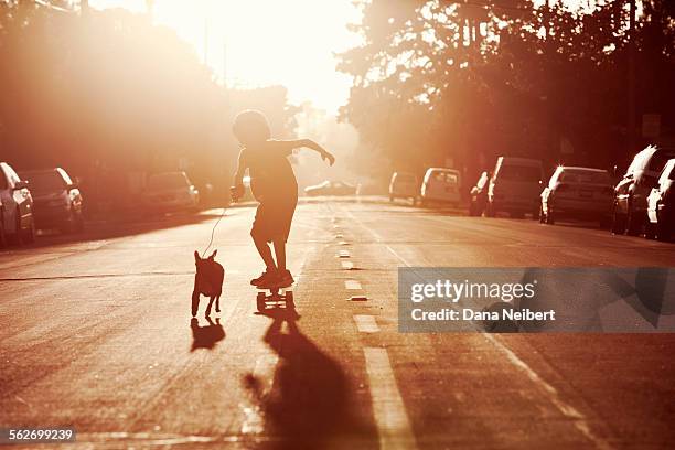 dog pulling boy on skateboard - dog skateboard stock pictures, royalty-free photos & images