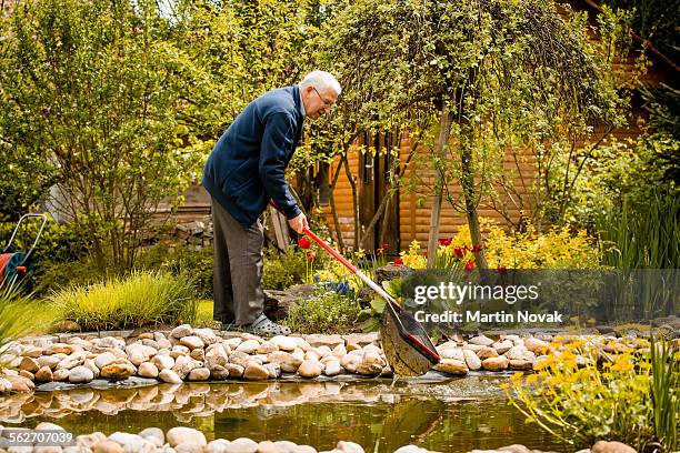 senior man cleaning fish pond - teich garten stock-fotos und bilder