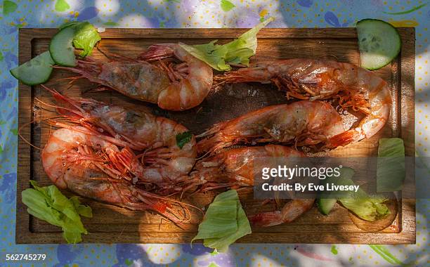 cooked red denia prawns - denia stock pictures, royalty-free photos & images