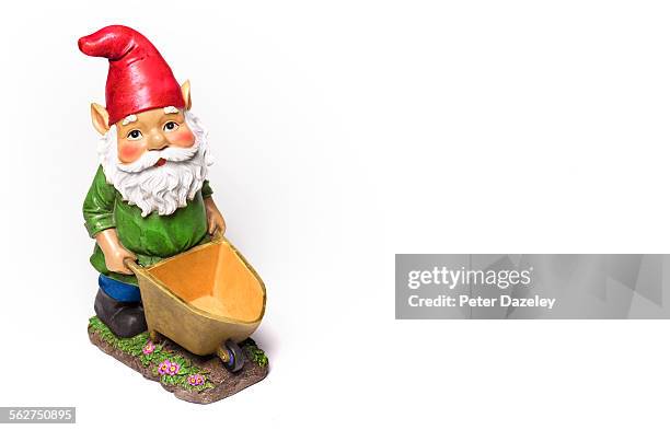 gardening gnome - garden gnome stock pictures, royalty-free photos & images