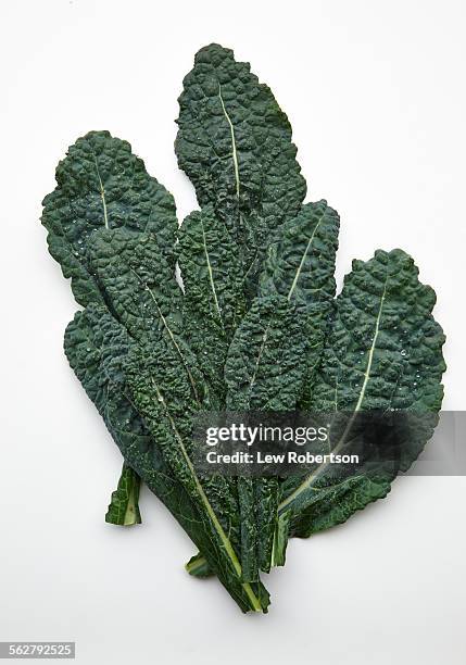 kale - kale stock pictures, royalty-free photos & images